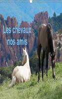 Chevaux Nos Amis 2017