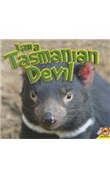 I Am a Tasmanian Devil: (I Am (Av2 Weigl))