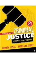 Introduction to Criminal Justice