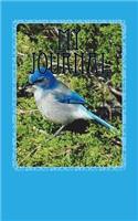My Journal