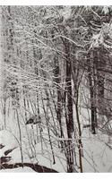 Winter Journal Scenic Snowstorm: (Notebook, Diary, Blank Book)(Seasonal Winter Photo Journals Notebooks Diaries)
