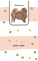 Pomeranian Diary 2020