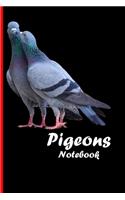 Pigeons Notebook