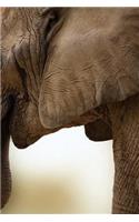 Elephant Notebook