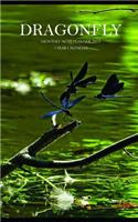 Dragonfly Monthly Note Planner 2019 1 Year Calendar