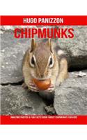 Chipmunks: Amazing Photos & Fun Facts Book about Chipmunks for Kids