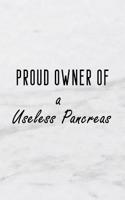 Proud Owner of a Useless Pancreas: A 6x9 Inch Matte Soft Cover Blood Sugar Log Book with 120 Lined Pages. Ideal for Those with Diabetes and Those Who Need to Test and Keep Track of Bl