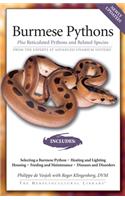 Burmese Pythons: Plus Reticulated Pythons And Related Species