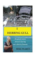 I Herring Gull