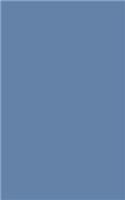 Blue-Gray 101 - Lined Notebook: 101 Pages, Medium Ruled, 5 x 8 Journal, Soft Cover