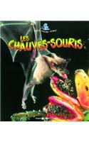 Chauves-Souris