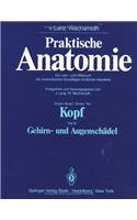 Kopf: Teil B, Gehirn- Und Augenschädel