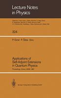 Applications of Self-Adjoint Extensions in Quantum Physics