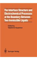Interface Structure and Electrochemical Processes at the Boundary Between Two Immiscible Liquids