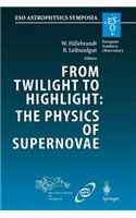 From Twilight to Highlight: The Physics of Supernovae