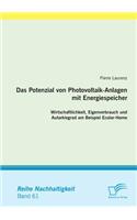 Das Potenzial von Photovoltaik-Anlagen mit Energiespeicher