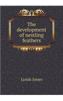 The development of nestling feathers