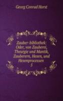 Zauber-bibliothek: Oder, von Zauberei, Theurgie und Mantik, Zauberern, Hexen, und Hexenprocessen .