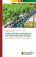 Cultivo da alface hidropônica com diferentes tipos de água