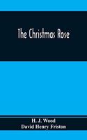 Christmas Rose