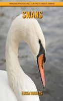 Swans: Amazing Photos and Fun Facts about Swans