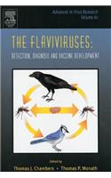 The Flaviviruses