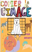 Copier l'image