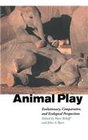 Animal Play