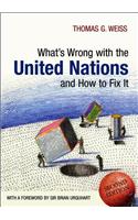 Whats Wrong with the United Nations and How to Fix It