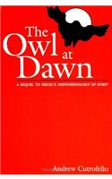 Owl at Dawn