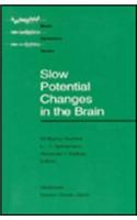 Slow Potential Changes in the Brain