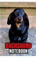 Dachshund Notebook: Journal / Diary / Notepad, Gifts For Dog Lovers (Lined, 6 x 9)