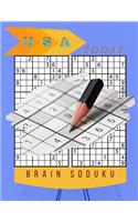 USA Today Brain Soduku