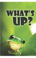 What's Up?