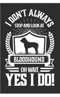 I Don't Always Stop and Look At Bloodhound OH Wait, Yes I Do!