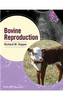 Bovine Reproduction