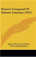 Potter's Compend Of Human Anatomy (1915)