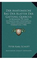 Anatomische Bau Der Blatter Der Gattung Quercus