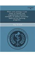 What Went Missing: A Case Study of Faculty and Organizational Elements Necessary to Sustain University-Based Service Learning Programs