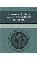Glucurono(arabino)Xylan Biosynthesis in Wheat