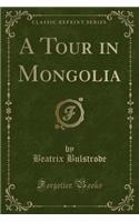 A Tour in Mongolia (Classic Reprint)