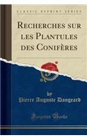 Recherches Sur Les Plantules Des ConifÃ¨res (Classic Reprint)