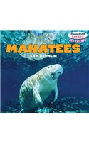 Manatees