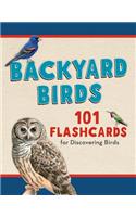 Backyard Birds
