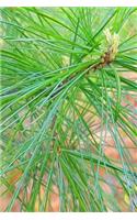 Fresh Spring Pine Needles Journal: (Notebook, Diary, Blank Book)