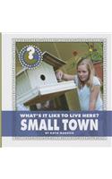 What's It Like to Live Here? Small Town: (Community Connections: What's It Like to Live Here?)