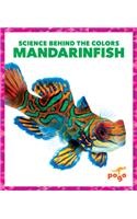 Mandarinfish: (Science Behind the Colors)