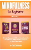 Mindfulness For Beginners