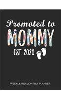 Promoted To Mommy 2020 Weekly And Monthly Planner