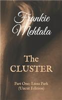 The CLUSTER